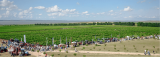 ООО ТД «Агроспецмаш» приглашает посетить день поля для виноградарей